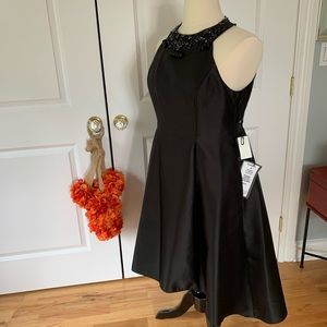 Adrianna Papell Dress